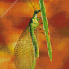 Green Lacewings Diamond Painting