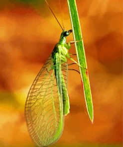 Green Lacewings Diamond Painting