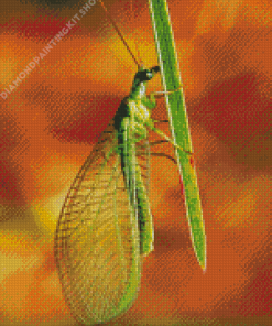 Green Lacewings Diamond Painting