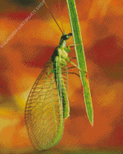 Green Lacewings Diamond Painting