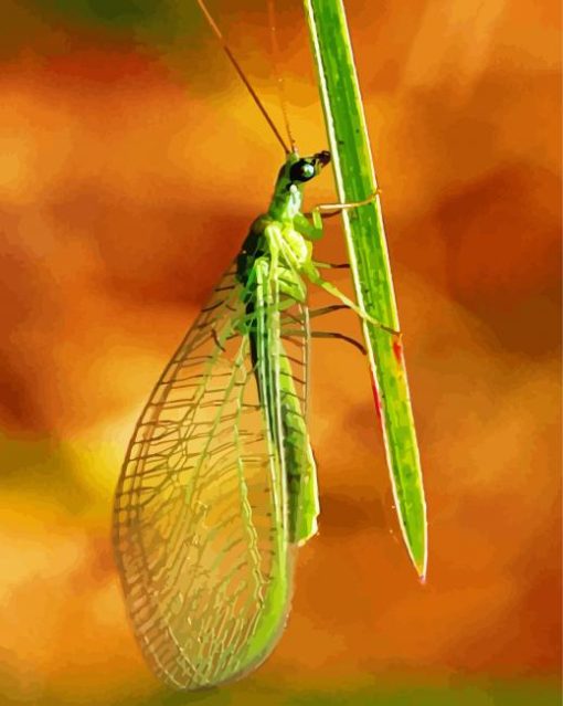 Green Lacewings Diamond Painting