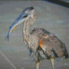 Heron With Fish Food Time Diamond Painting