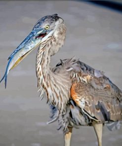 Heron With Fish Food Time Diamond Painting