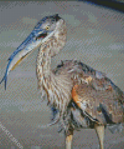 Heron With Fish Food Time Diamond Painting