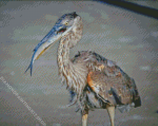 Heron With Fish Food Time Diamond Painting