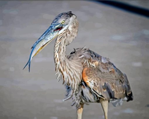 Heron With Fish Food Time Diamond Painting