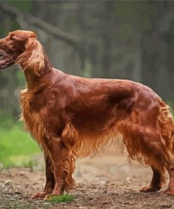 Irish Setter Animal Diamond Painting