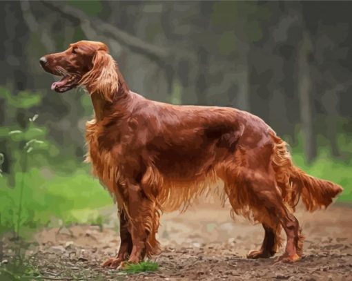 Irish Setter Animal Diamond Painting