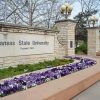 Kansas State University Diamond Painting