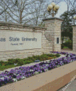 Kansas State University Diamond Painting