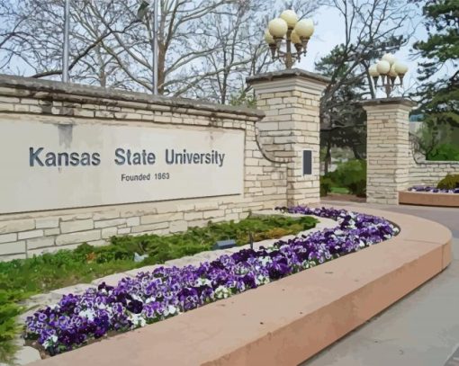 Kansas State University Diamond Painting