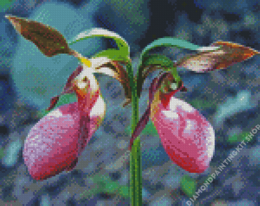 Lady Slipper Diamond Painting