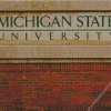 Michigan State University Mural Diamond Painting