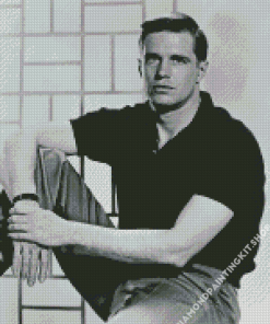 Monochrome George Peppard Diamond Painting