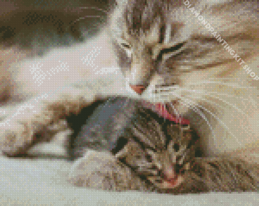 Mother Cat And Kitten Diamond Painting