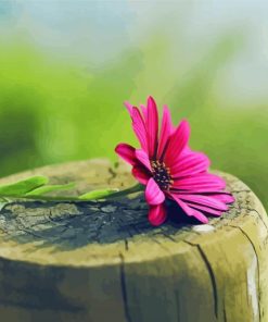 Pink Flower On Tree Stumps Diamond Painting