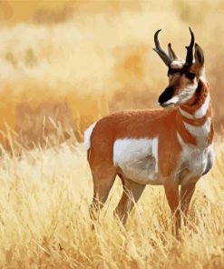 Pronghorn Wild Animal Diamond Painting