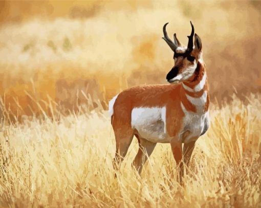 Pronghorn Wild Animal Diamond Painting