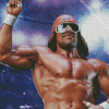 Randy Savage Statue Diamond Painting