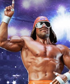 Randy Savage Statue Diamond Painting