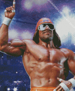 Randy Savage Statue Diamond Painting