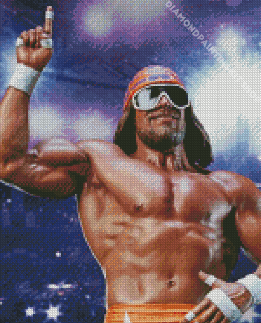 Randy Savage Statue Diamond Painting