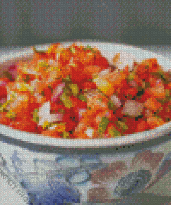 Salsa Food Diamond Painting