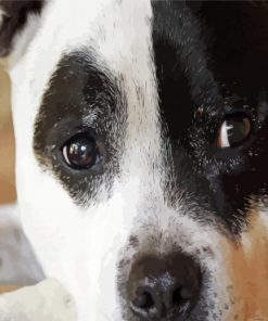 Sleepy White Staffy Diamond Painting