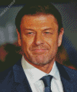 Actor Sean Bean Diamond Painting