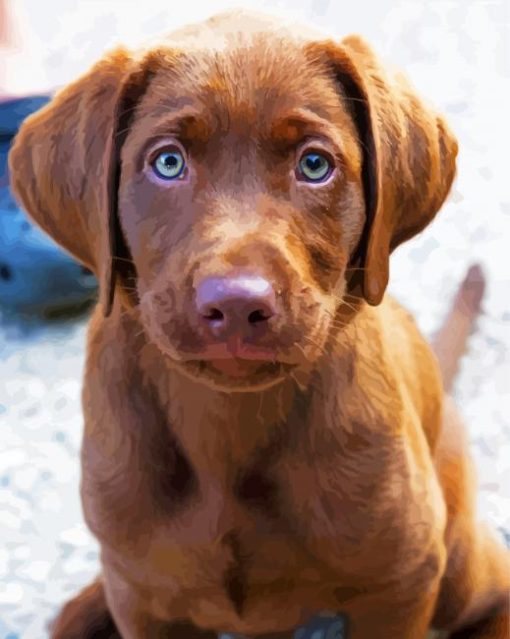 Baby Chocolate Lab Puppy Diamond Painting