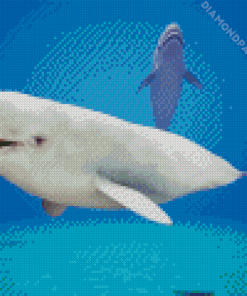 Beluga Whales Underwater Diamond Painting