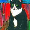 Bicolor Cat Animal Diamond Painting