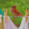 Birds On Laundry Diamond Painting