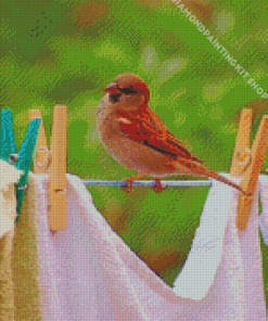 Birds On Laundry Diamond Painting