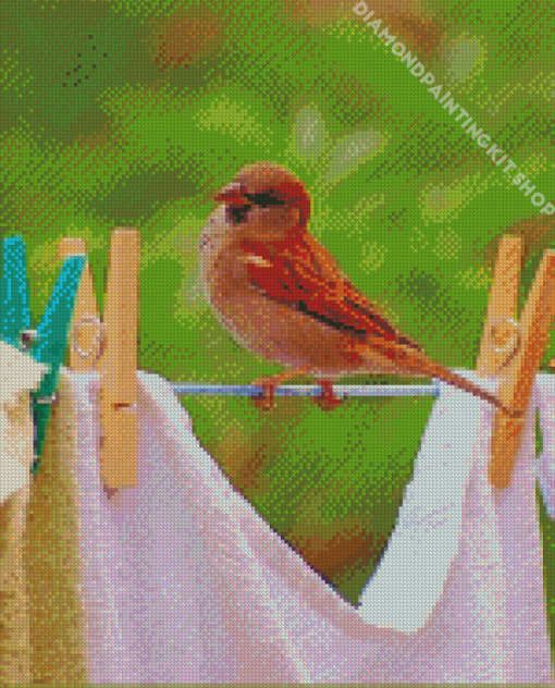 Birds On Laundry Diamond Painting