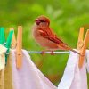 Birds On Laundry Diamond Painting