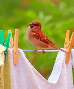 Birds On Laundry Diamond Painting