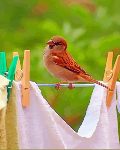 Birds On Laundry Diamond Painting