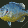 Bluegill Fish Diamond Painting