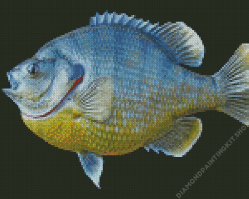 Bluegill Fish Diamond Painting