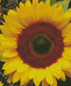 Butterfly Sunflower Diamond Painting