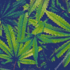 Cannabis Plant Leaves Diamond Painting