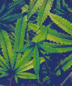 Cannabis Plant Leaves Diamond Painting