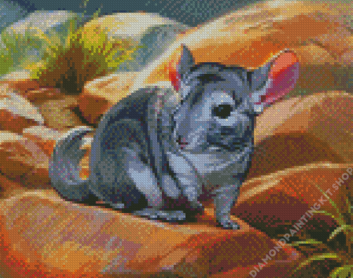 Chinchilla Animal Art Diamond Painting