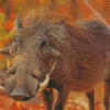 Common Warthog Diamond Painting