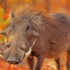 Common Warthog Diamond Painting