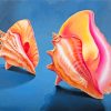 Conch Shells Diamond Painting