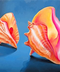 Conch Shells Diamond Painting