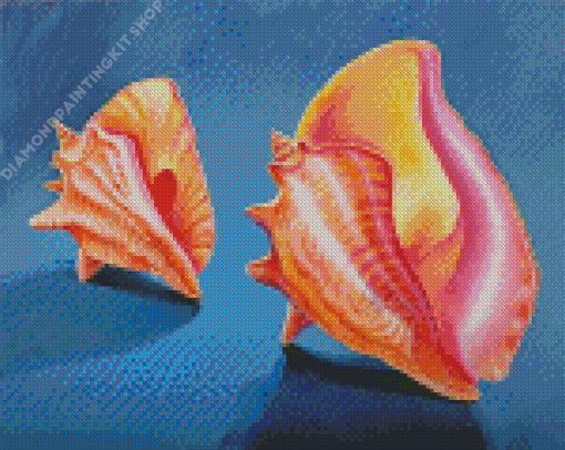 Conch Shells Diamond Painting