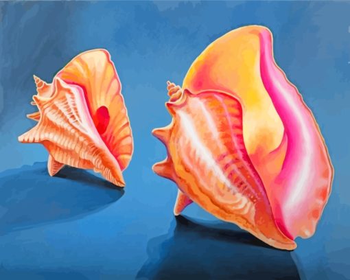 Conch Shells Diamond Painting